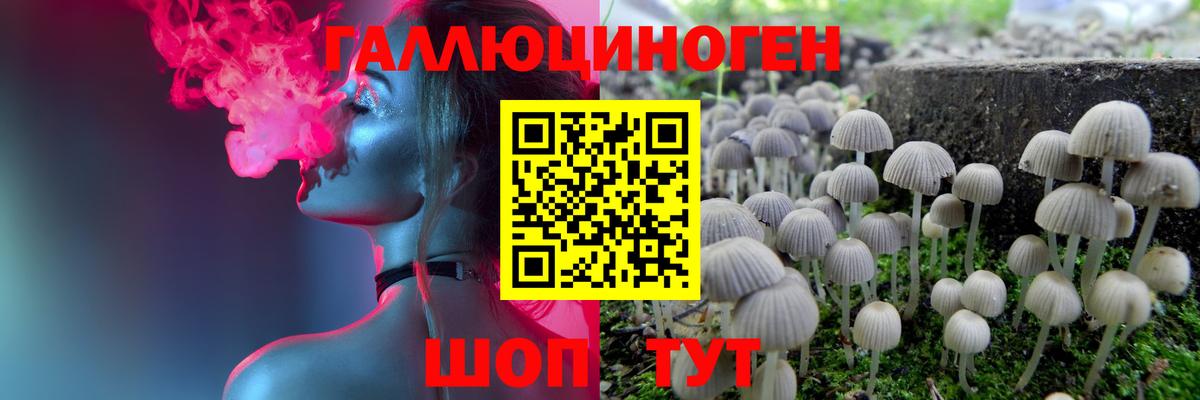 Галлюциногенные грибы GOLDEN TEACHER Конаково